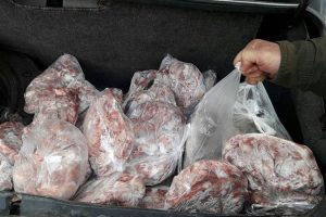 ضبط و معدوم‌سازی 68 کیلوگرم گوشت فاسد در منطقه فین و مشکات کاشان