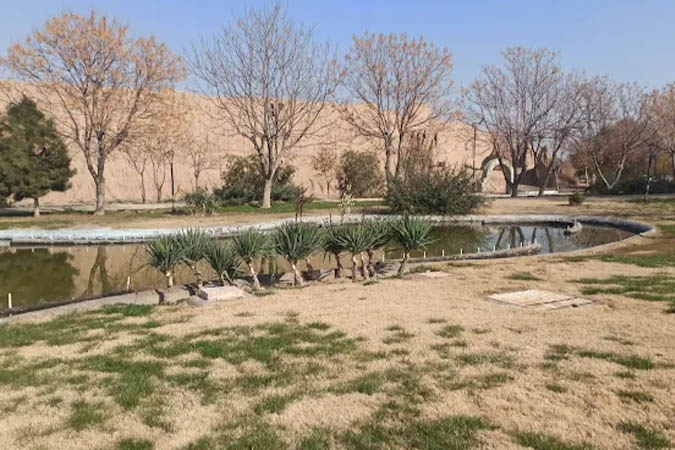 مرگ تدریجی درختان در پارک لاله/آیا آبیاری درختان فراموش شده؟