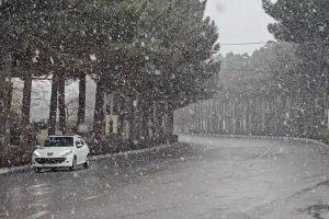 هم اکنون بارش برف در قزاآن و قمصر