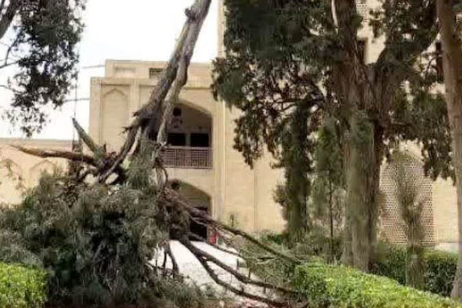 خسارت طوفان به 8 درخت باغ فین؛ باغ فین کاشان موقتا تعطیل شد